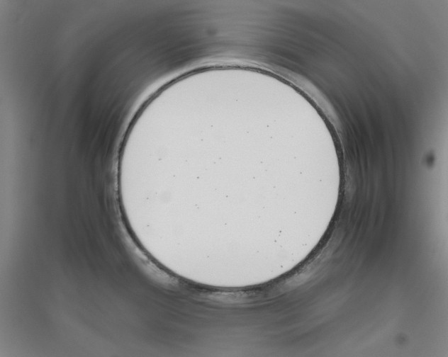 X0000116821388201001291613