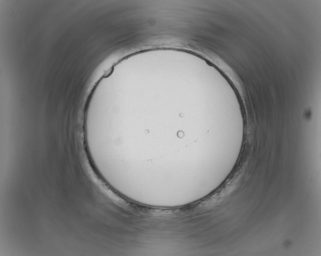 X0000116821389201001291613