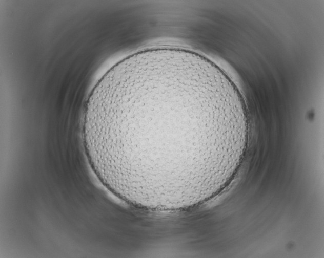 X0000116821390201001291613