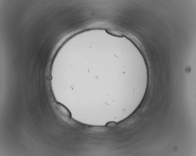 X0000116821392201001291613