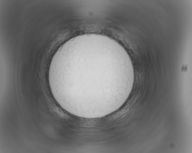 X0000116821393201001291612