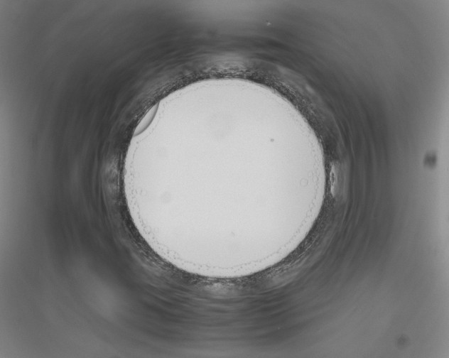 X0000116821395201001291612