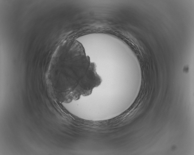 X0000116821396201001291612