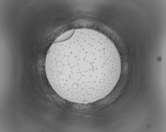 X0000116821397201001291612