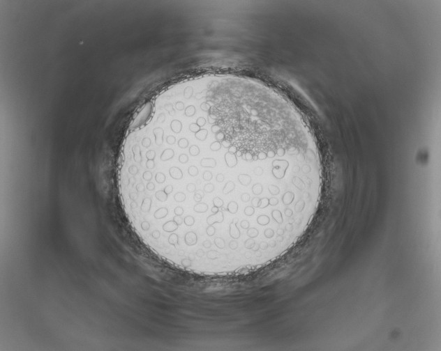 X0000116821399201001291612