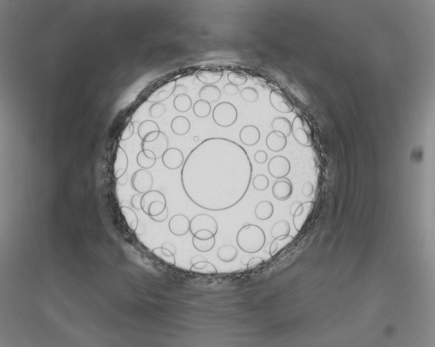 X0000116821400201001291612