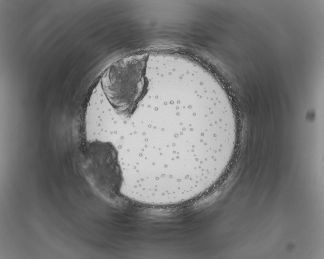 X0000116821401201001291612