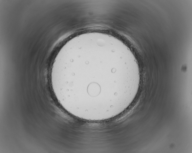 X0000116821402201001291612