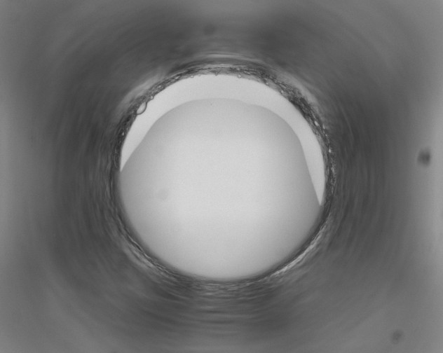 X0000116821403201001291612