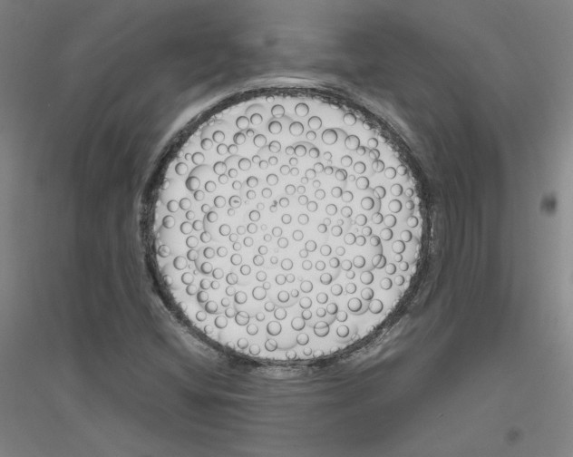 X0000116821404201001291612