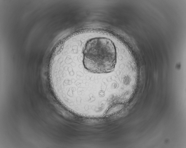 X0000116821405201001291612