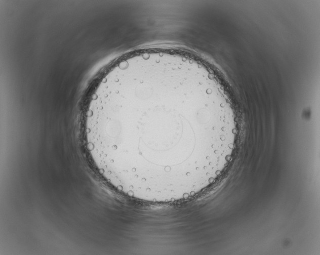 X0000116821406201001291612