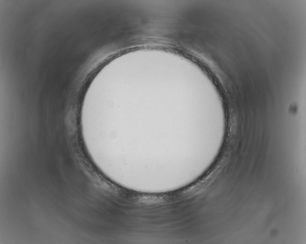 X0000116821407201001291612