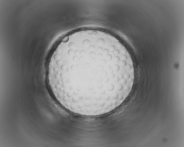 X0000116821408201001291612