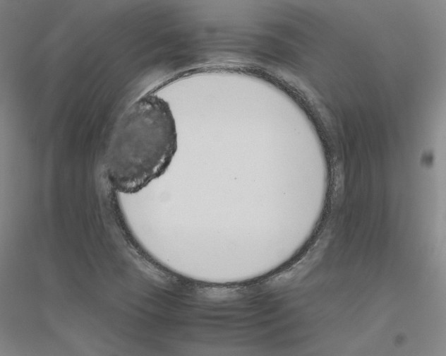 X0000116821409201001291612