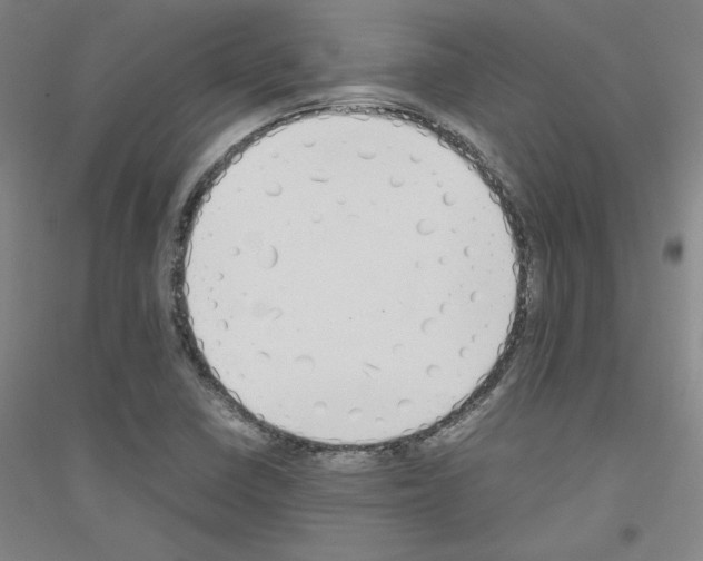 X0000116821410201001291612