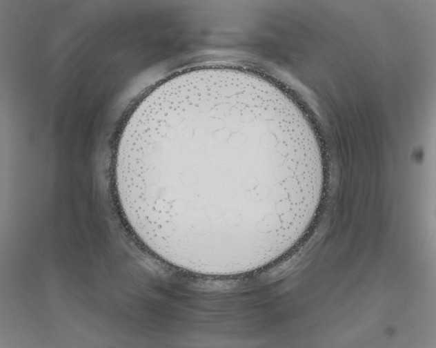 X0000116821411201001291612