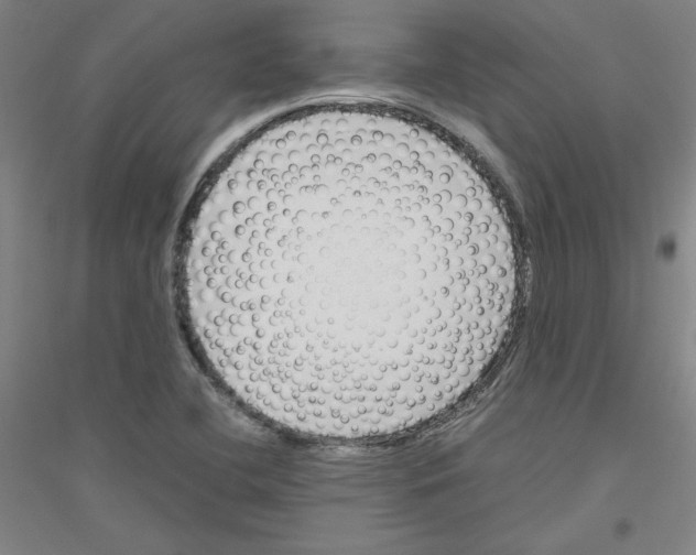 X0000116821412201001291612