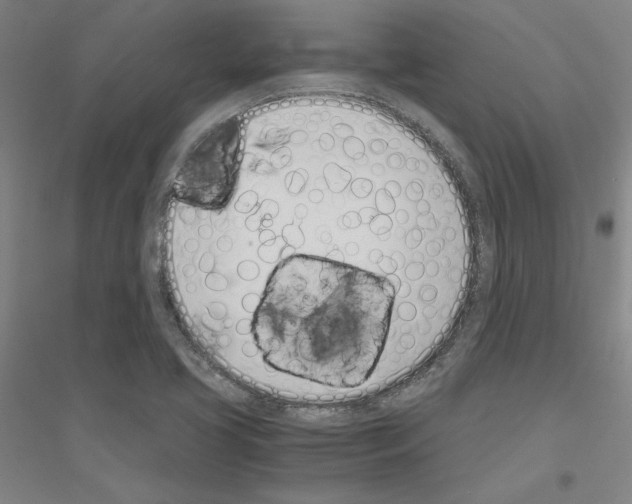 X0000116821413201001291612