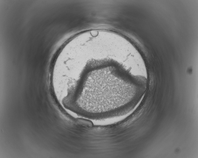 X0000116821414201001291612