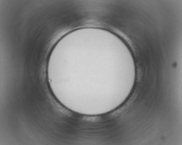 X0000116821415201001291612