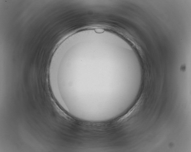 X0000116821417201001291612