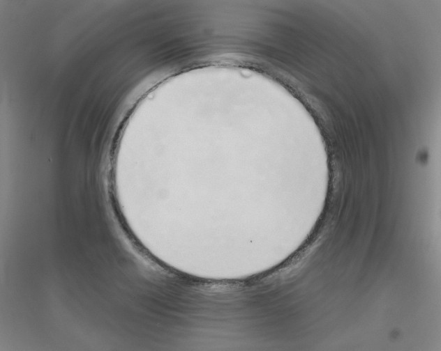 X0000116821418201001291613