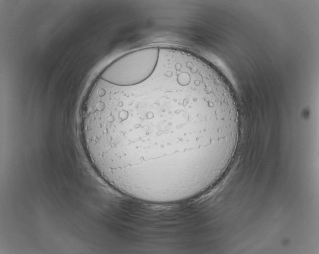 X0000116821419201001291613