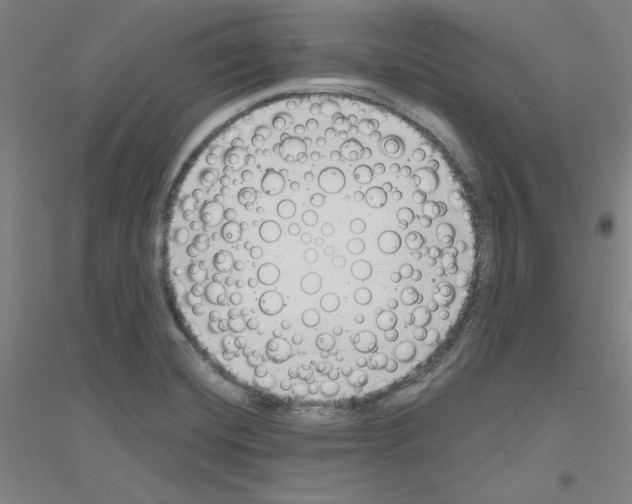 X0000116821420201001291613