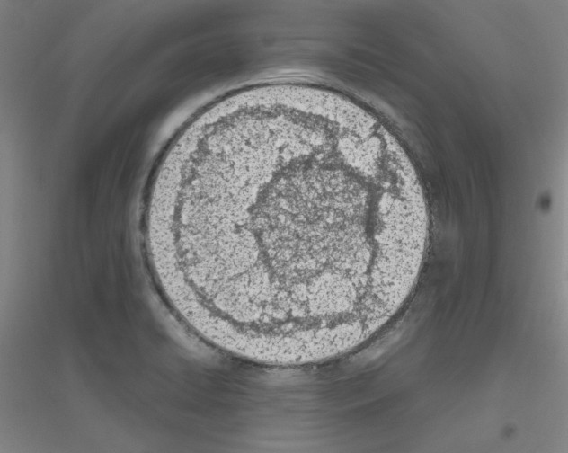 X0000116821422201001291613