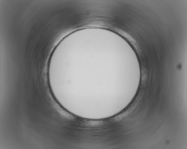 X0000116821423201001291613