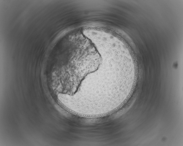 X0000116821425201001291613