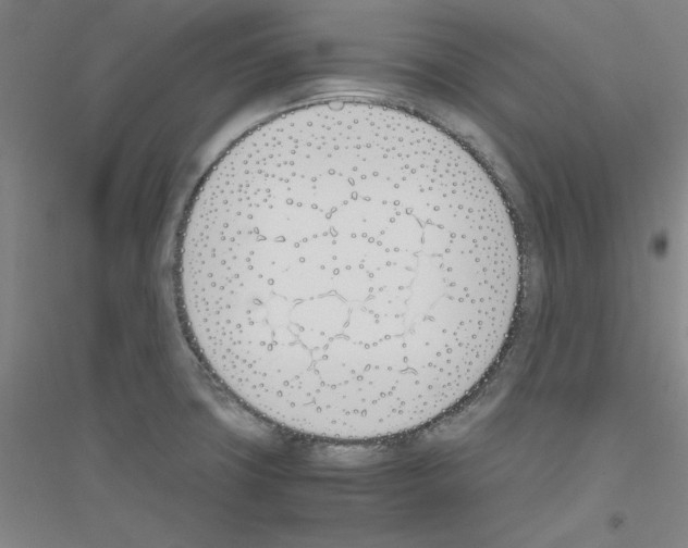 X0000116821427201001291613