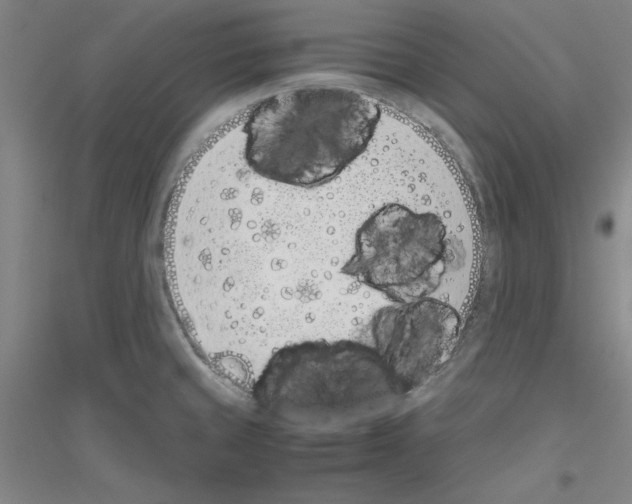 X0000116821429201001291613