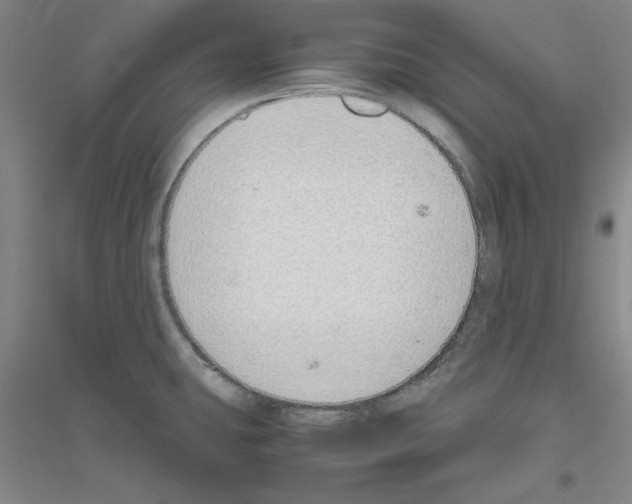 X0000116821431201001291613