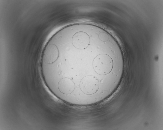 X0000116821432201001291613