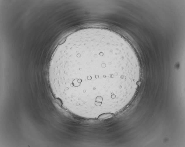 X0000116821433201001291613