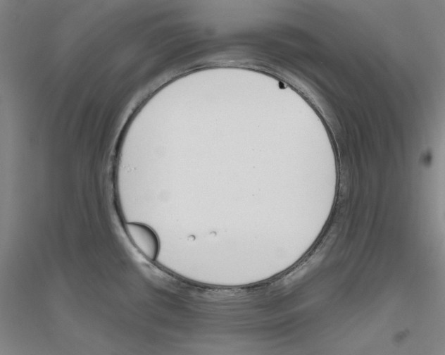 X0000116821434201001291613