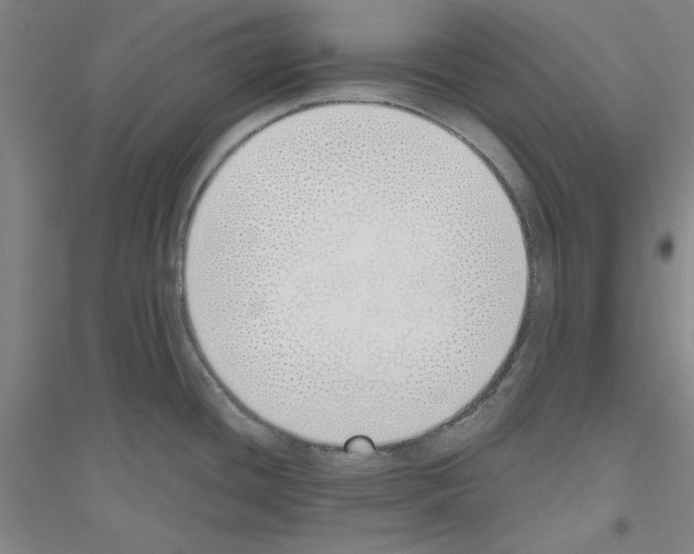 X0000116821436201001291613