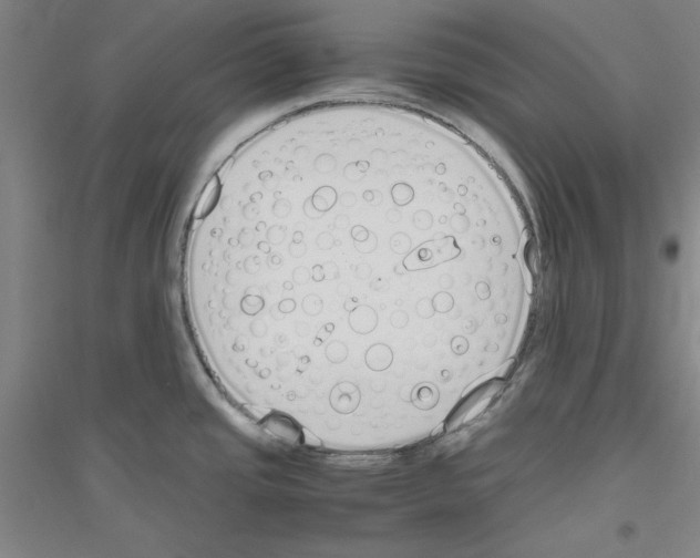 X0000116821437201001291613