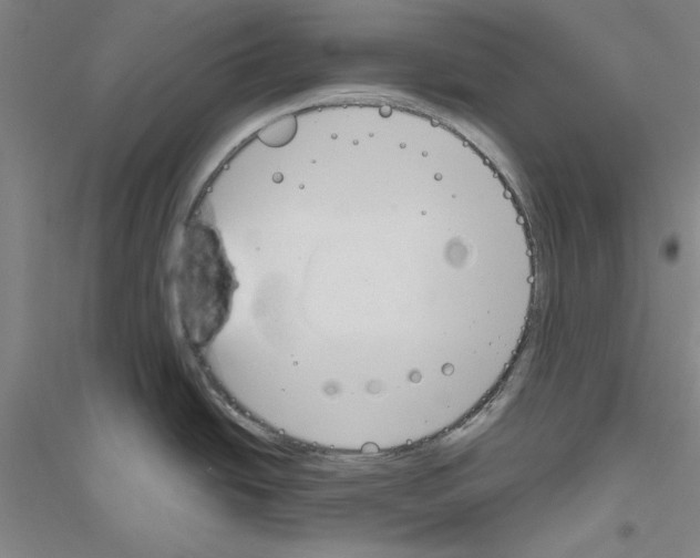 X0000116821438201001291613