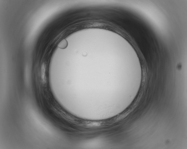 X0000116821439201001291613