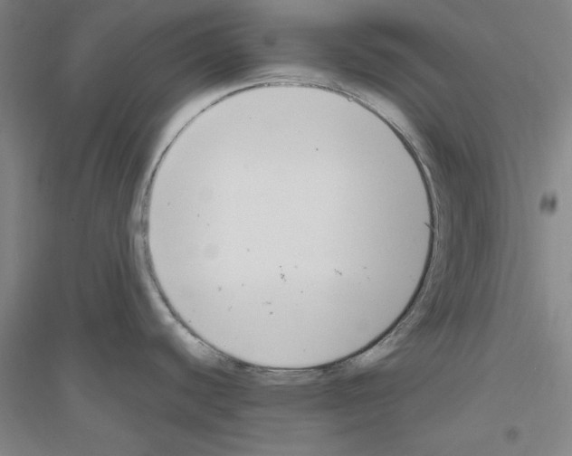 X0000116821440201001291613