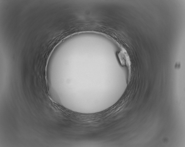 X0000116821441201001291612