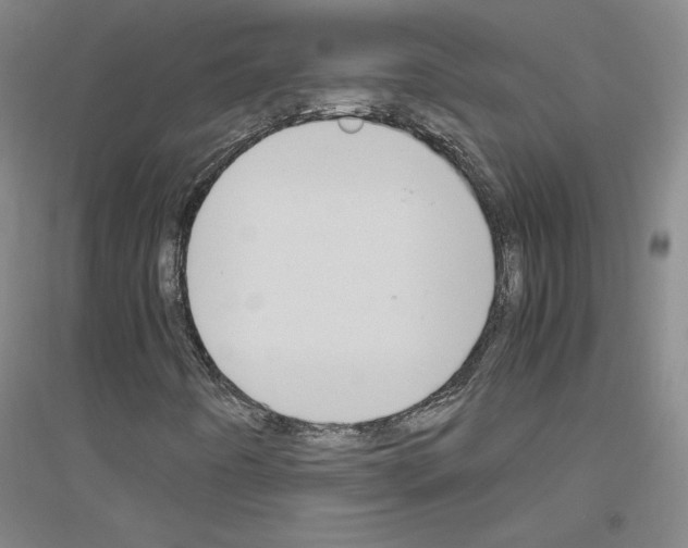 X0000116821442201001291612