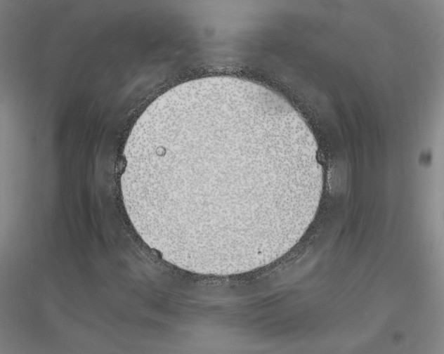 X0000116821444201001291612