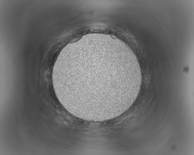 X0000116821445201001291612