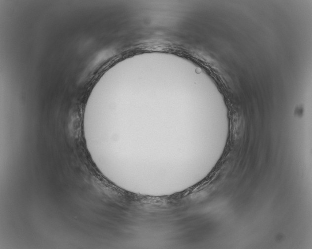 X0000116821446201001291612