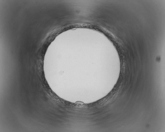 X0000116821447201001291612