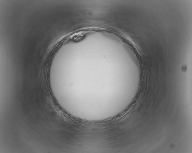 X0000116821448201001291612